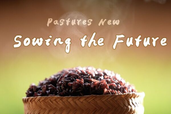 Purple Rice Revival: Preserving Heritage in Yunnan 🌾✨ Purple_Rice_Revival__Preserving_Heritage_in_Yunnan___ video poster