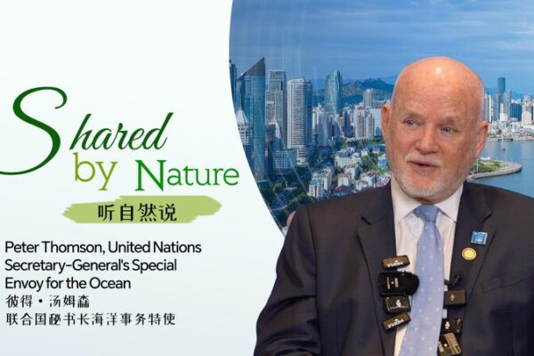 Qingdao Shines as Key Player in UN Ocean Science Initiative 🌊✨ Qingdao_Shines_as_Key_Player_in_UN_Ocean_Science_Initiative___ video poster