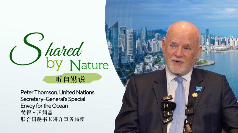 Qingdao_Shines_as_Key_Player_in_UN_Ocean_Science_Initiative____poster - 🌍NewspaperAmigo – Your Global News Buddy 🗞️ Qingdao_Shines_as_Key_Player_in_UN_Ocean_Science_Initiative___ video poster