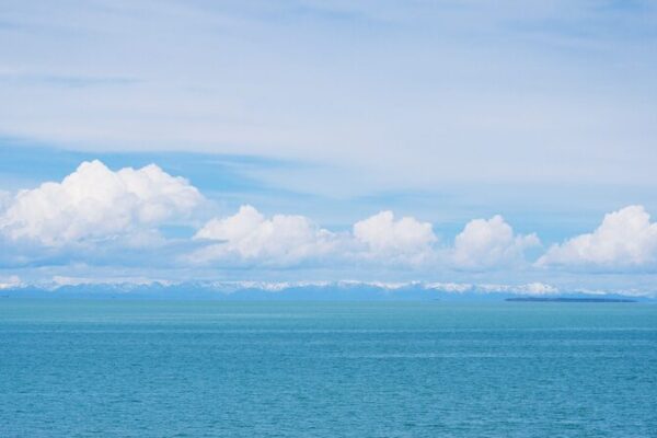 Qinghai Lakeโs Summer Magic: Where Nature and Conservation Thrive ๐ฟ๐ฆข Qinghai_Lake_s_Summer_Magic__Where_Nature_and_Conservation_Thrive___