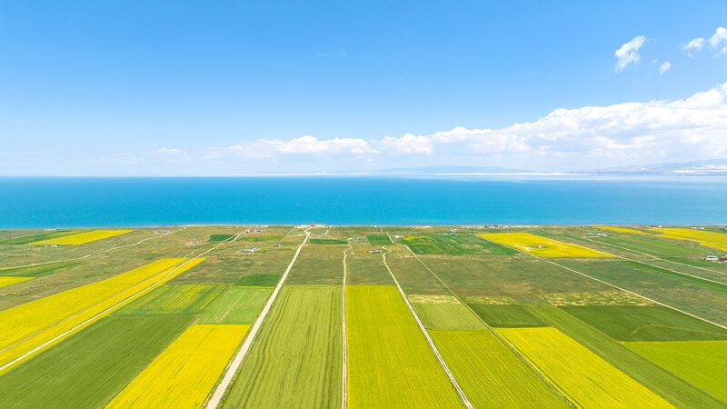 Qinghai__China_s_Majestic__Roof_of_the_World____ - 🌍NewspaperAmigo – Your Global News Buddy 🗞️ Qinghai__China_s_Majestic__Roof_of_the_World____