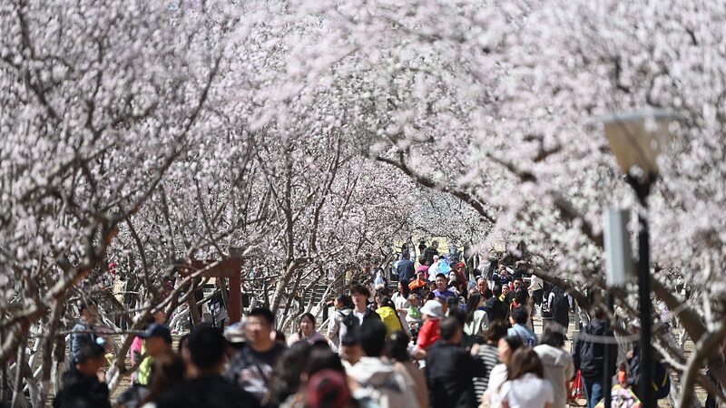 Qingming_Festival_Sees_119_Million_Domestic_Travelers_in_China___