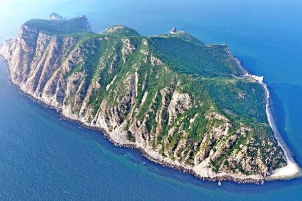 Record-Breaking Raptor Migration Lights Up NE China Skies 🌍🦅 Record_Breaking_Raptor_Migration_Lights_Up_NE_China_Skies___