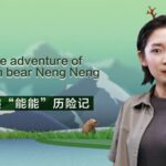 ___Rescued_Brown_Bear_Cub_Neng_Neng_s_Amazing_Journey_Back_to_the_Wild video poster