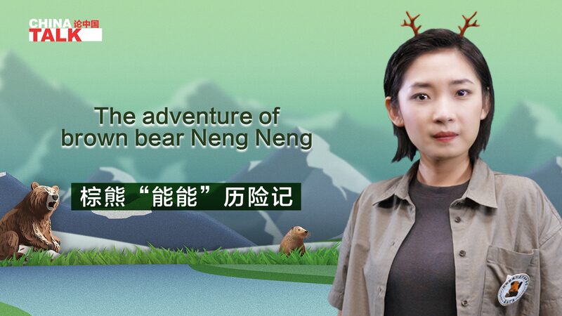 ___Rescued_Brown_Bear_Cub_Neng_Neng_s_Amazing_Journey_Back_to_the_Wild video poster