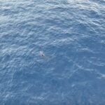 Rescued_Whale__Haitang__Returns_to_Ocean_After_140_Day_Recovery___ video poster