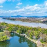 Revival_of_Sanjiangkou__East_China_s_River_Junction_Blooms_After_Ecological_Restoration___