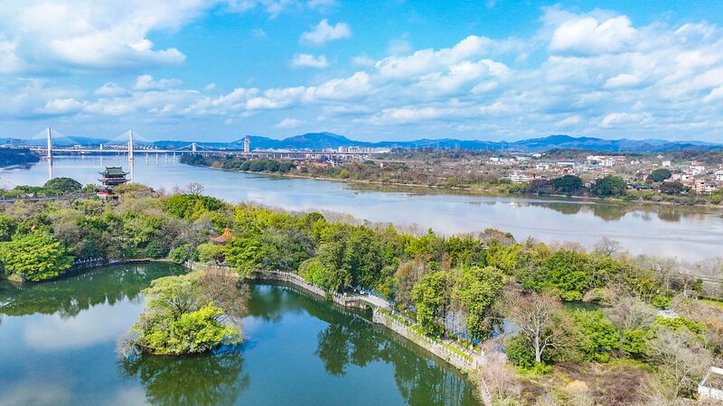 Revival_of_Sanjiangkou__East_China_s_River_Junction_Blooms_After_Ecological_Restoration___