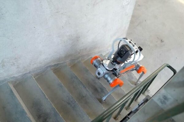 Robo-Pups Join Firefighters in Shandong! 🚒🐶🔥 Robo_Pups_Join_Firefighters_in_Shandong_____ video poster