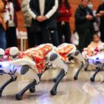 ___Robot_Dogs_Dance_into_Lunar_New_Year_Festivities_