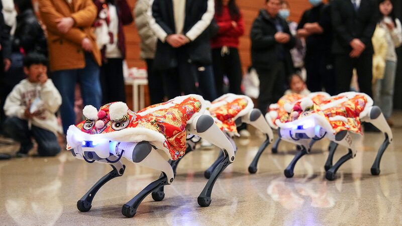 ___Robot_Dogs_Dance_into_Lunar_New_Year_Festivities_