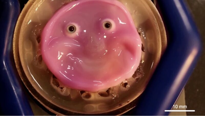 Robots_Get_Real__Living_Skin_Lets_Machines_Smile___ - 🌍NewspaperAmigo – Your Global News Buddy 🗞️ Robots_Get_Real__Living_Skin_Lets_Machines_Smile___