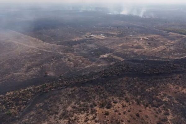 Roraima’s Wildfires Surge, Endangering Yanomami Communities 🔥🌳 Roraima_s_Wildfires_Surge__Endangering_Yanomami_Communities___
