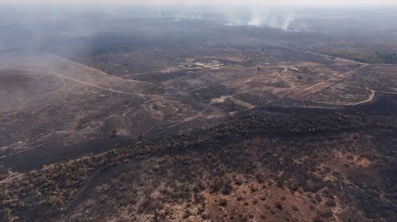 Roraima_s_Wildfires_Surge__Endangering_Yanomami_Communities___