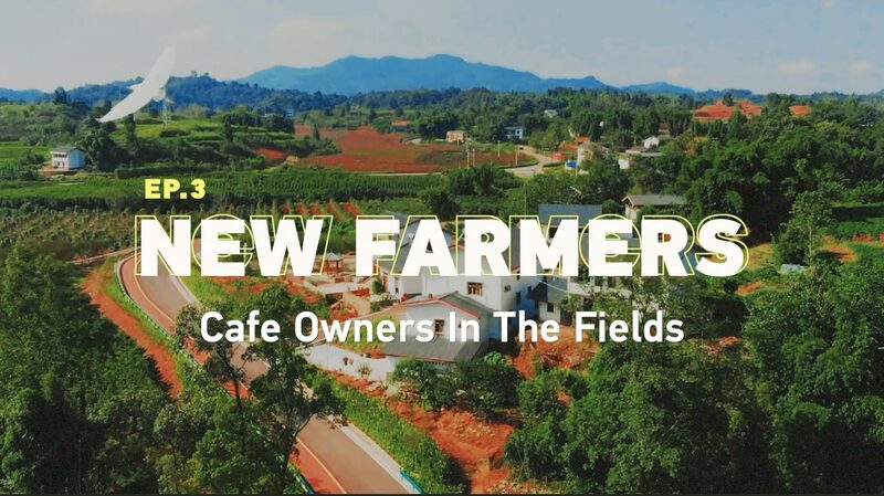 Rural_Cafe_Brews_Urban_Rural_Connections_in_Hubei____poster - 🌍NewspaperAmigo – Your Global News Buddy 🗞️ Rural_Cafe_Brews_Urban_Rural_Connections_in_Hubei___ video poster