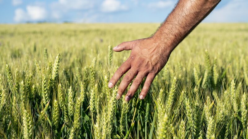 Rural_Income_Soars_in_the_Chinese_Mainland__A_Decade_of_Growth___