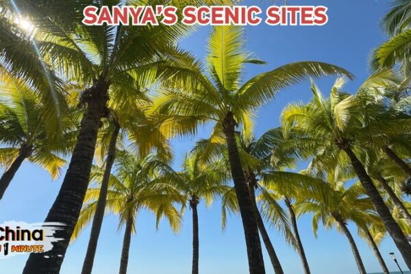 Sanya: Beyond the Film Fest 🌴🎥 Your Tropical Escape Awaits! Sanya__Beyond_the_Film_Fest____Your_Tropical_Escape_Awaits_ video poster