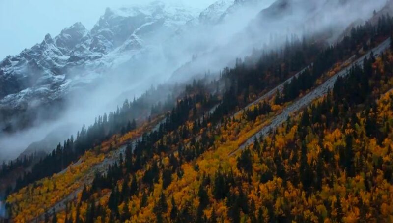 Saving_the_Himalayan_Garden__Scientists_Race_Against_Time____poster - 🌍NewspaperAmigo – Your Global News Buddy 🗞️ Saving_the_Himalayan_Garden__Scientists_Race_Against_Time___ video poster