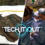 Science_Saturday__Ancient_DNA_Breakthrough__Black_Hole_Mystery___Pig_Kidney_Setback_____ video poster