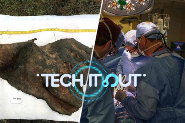 Science Saturday: Ancient DNA Breakthrough, Black Hole Mystery & Pig Kidney Setback 🧬🕳️🚀 Science_Saturday__Ancient_DNA_Breakthrough__Black_Hole_Mystery___Pig_Kidney_Setback_____ video poster