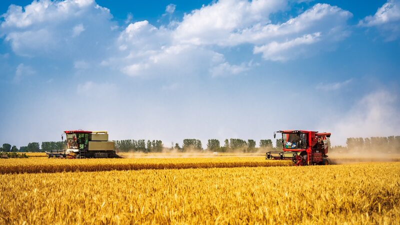 Scientists_Discover_Bacteria_That_Slashes_Farm_Emissions___