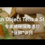 Secrets_of_Sunken_Porcelain__Why_Ancient_Colors_Still_Sparkle___ video poster