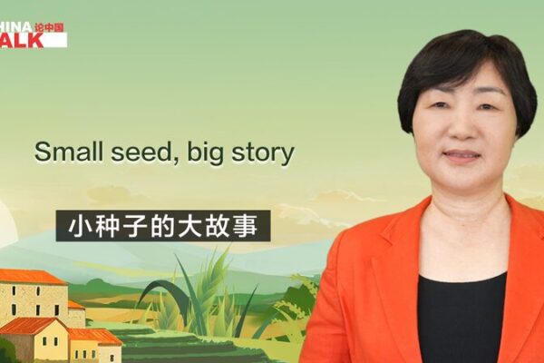 Seed Savior: Zhang Xiuyun’s 10-Year Journey Breeding 49 Corn Varieties in Lijiang Seed_Savior__Zhang_Xiuyun_s_10_Year_Journey_Breeding_49_Corn_Varieties_in_Lijiang video poster