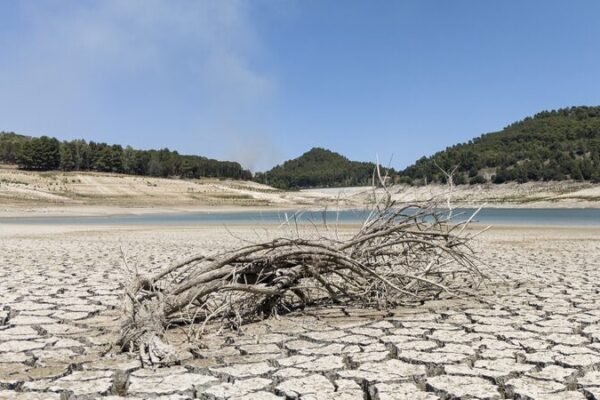 Severe Drought in Sicily Devastates Farmers and Fields ☀️🌾 Severe_Drought_in_Sicily_Devastates_Farmers_and_Fields____