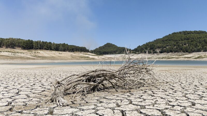 Severe_Drought_in_Sicily_Devastates_Farmers_and_Fields____