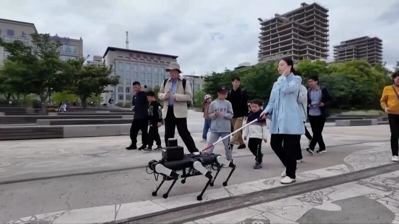 Shanghai_Jiao_Tong_Unveils_Six_Legged_Robot_to_Assist_Visually_Impaired____poster - 🌍NewspaperAmigo – Your Global News Buddy 🗞️ Shanghai_Jiao_Tong_Unveils_Six_Legged_Robot_to_Assist_Visually_Impaired___ video poster