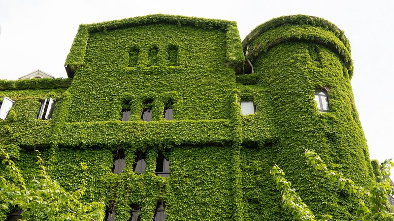 Shanghai_s__Green_Giant__Transforms_Urban_Jungle____