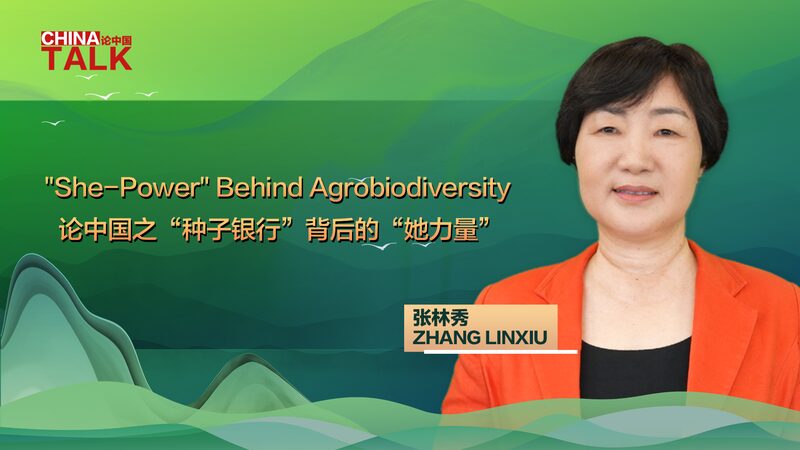 She_Power__Leading_the_Charge_to_Save_Agricultural_Biodiversity____poster - 🌍NewspaperAmigo – Your Global News Buddy 🗞️ _She_Power__Leading_the_Charge_to_Save_Agricultural_Biodiversity___ video poster