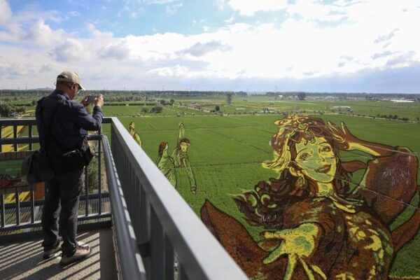 Shenyang Rice Fields Bloom into Stunning Art 🌾🎨 Shenyang_Rice_Fields_Bloom_into_Stunning_Art___
