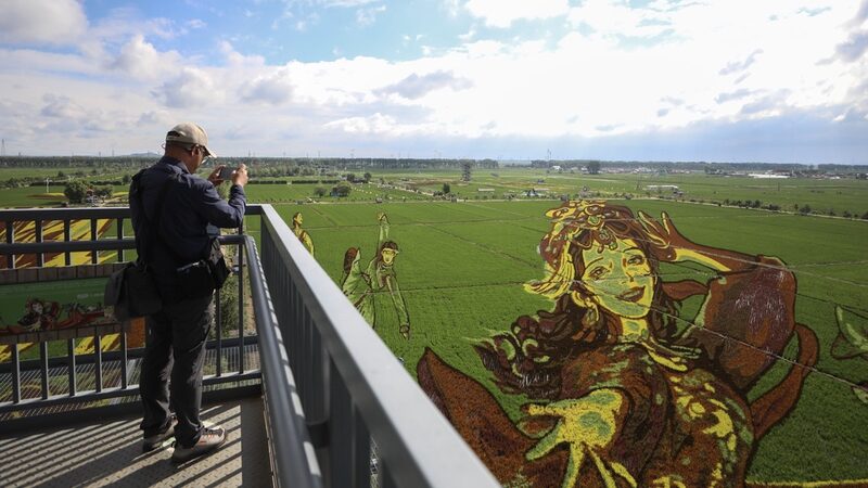 Shenyang_Rice_Fields_Bloom_into_Stunning_Art___ - 🌍NewspaperAmigo – Your Global News Buddy 🗞️ Shenyang_Rice_Fields_Bloom_into_Stunning_Art___