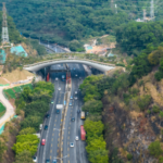 Shenzhen_s_Wildlife_Overpass__A_Bridge_to_Nature___