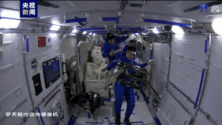 __Shenzhou_18_Crew_s_Zebrafish_Experiment_Reveals_Microgravity_Mysteries_