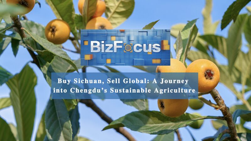 Sichuan_s_Agribusiness_Goes_Global____poster - 🌍NewspaperAmigo – Your Global News Buddy 🗞️ Sichuan_s_Agribusiness_Goes_Global___ video poster