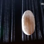 Silk_Secrets__How_Silkworms_Spin_China_s_Cultural_Gold___