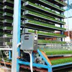 Smart_Farming_Takes_Root_in_SE_China___ video poster