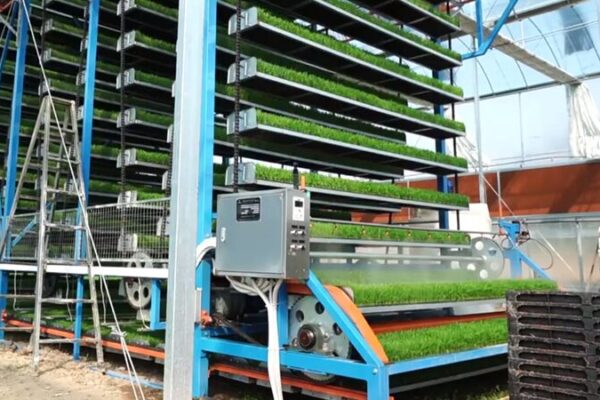 Smart Farming Takes Root in SE China 🌱💻 Smart_Farming_Takes_Root_in_SE_China___ video poster