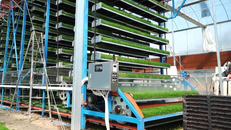 Smart_Farming_Takes_Root_in_SE_China____poster - 🌍NewspaperAmigo – Your Global News Buddy 🗞️ Smart_Farming_Takes_Root_in_SE_China___ video poster