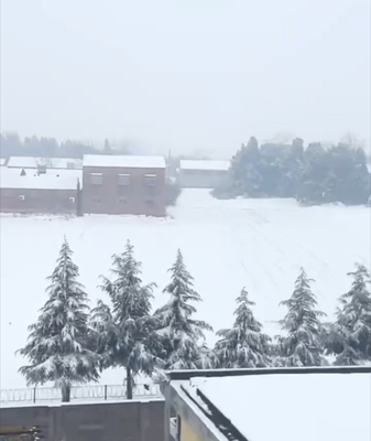 Snowy Serenity in Henan: A Train Journey Through China’s Winter Wonderland ❄️🚂 Snowy_Serenity_in_Henan__A_Train_Journey_Through_China_s_Winter_Wonderland____ video poster
