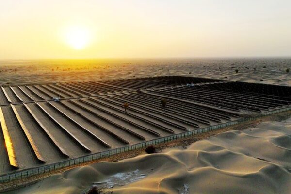 Solar Panels Meet Alfalfa: Xinjiang’s Dual Fight Against Desertification 🌱⚡ Solar_Panels_Meet_Alfalfa__Xinjiang_s_Dual_Fight_Against_Desertification___
