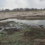 Southern_Africa_Drought_Crisis__Malawi_Declares_Emergency___