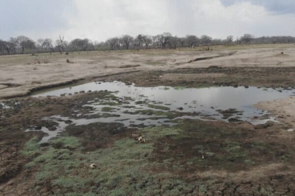 Southern Africa Drought Crisis: Malawi Declares Emergency ๐๐ฅ Southern_Africa_Drought_Crisis__Malawi_Declares_Emergency___