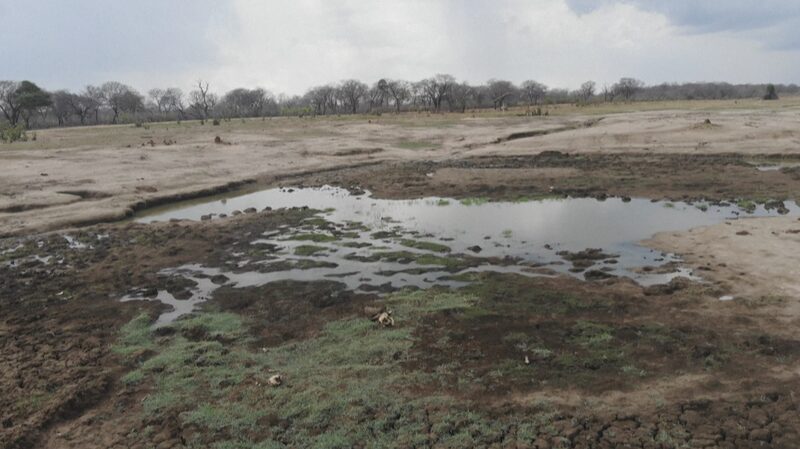 Southern_Africa_Drought_Crisis__Malawi_Declares_Emergency___