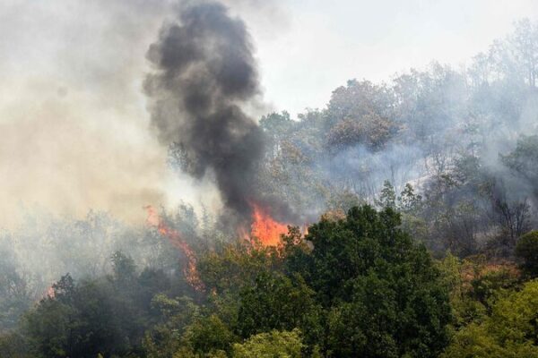 Southern Europe Battles Deadly Wildfires as Heatwave Intensifies ๐ฅ๐ Southern_Europe_Battles_Deadly_Wildfires_as_Heatwave_Intensifies___