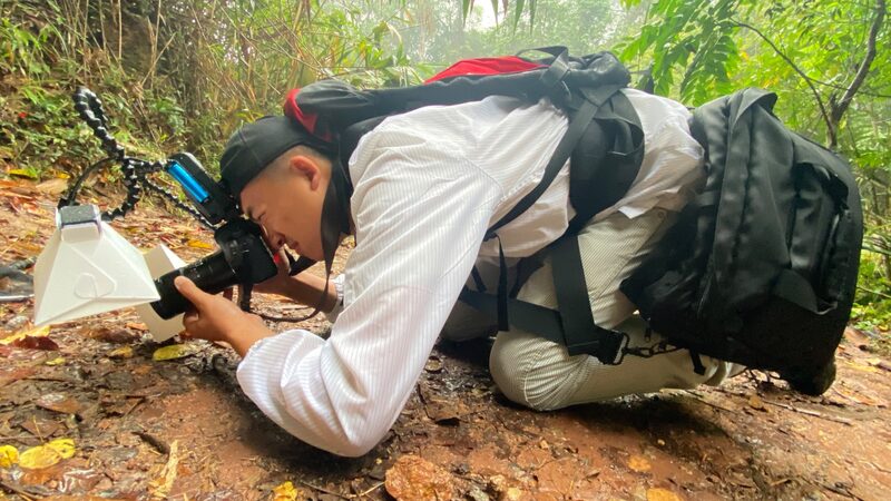 Southwest_China_s_Yunnan_Photographer_Showcases_Unique_Biodiversity_at_COP16___ video poster