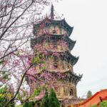 __Spring_Blooms_Meet_Ancient_History_at_Quanzhou_s_Kaiyuan_Temple