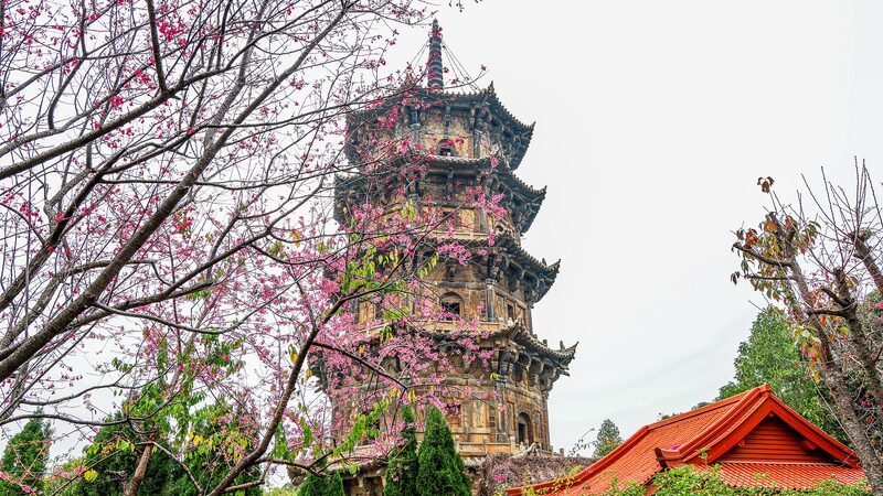 __Spring_Blooms_Meet_Ancient_History_at_Quanzhou_s_Kaiyuan_Temple